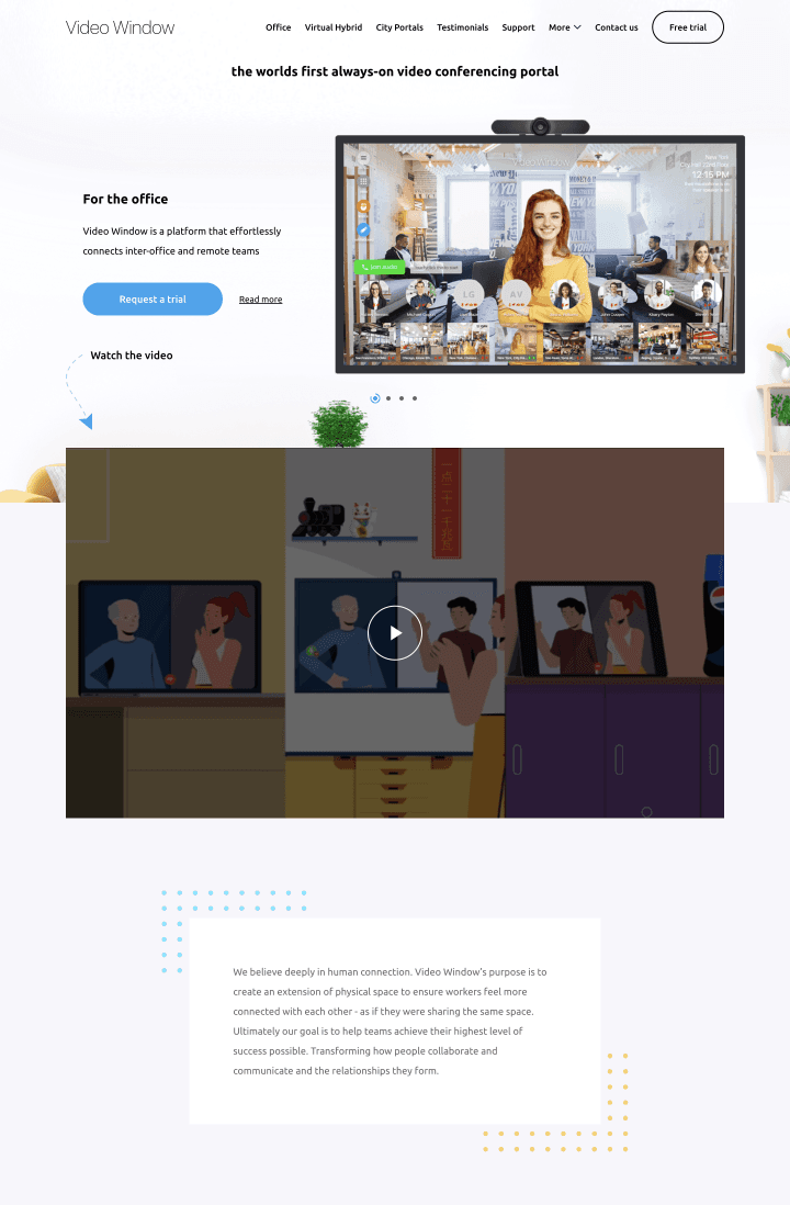 Video Window
